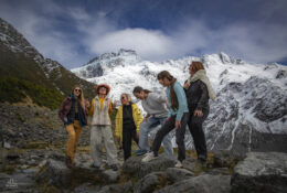 New Zealand 2025 (1 group) (14/66)